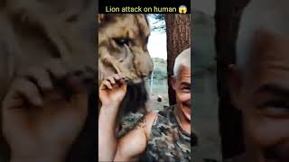 Lion attack on human | Viral video | World's Facts | #shorts #lion #viral #animals #trending