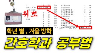 간호학과 학년별 공부방법, 취업 준비 방법