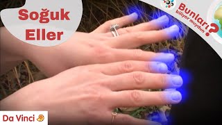 Eller Neden Hep daha Soğuk Olur? ✋| Bunları Biliyor muydun? | Da Vinci TV Türkiye