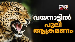 വയനാട്ടിൽ വീണ്ടും വന്യജീവി ആക്രമണം ; പുലി ആക്രമണത്തിൽ യുവാവിന് പരുക്ക്