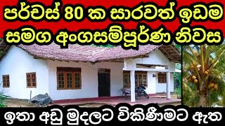 පර්චස් 80 ක විශාල ඉඩම හා නිවස පට්ටම අඩු මුදලකට | House for sale | Land for sale | Aduwata idam| idam