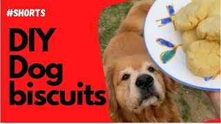 DIY biscuits for your Dog