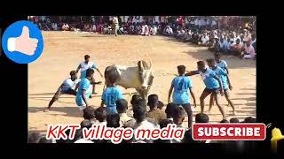 ராமநாதபுரம் மாவட்டம் தரக்குடி வடமாடு மஞ்சுவிரட்டு | KKT village media | subscribe \u0026 share \u0026 like