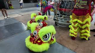 2025 Singapore Zhou Zhong D\u0026L Dance Troupe 新加坡周忠龙狮学院@Hougang MRT Station