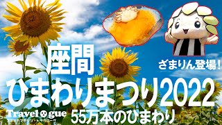 55万本のひまわりに囲まれて 「座間ひまわりまつり」#座間  #ひまわりまつり #アド街ック天国