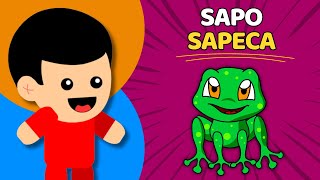 SAPO SAPECA - Animadinhos (Música Infantil)