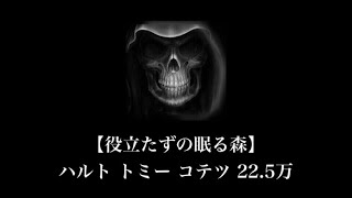 【武器よさらば】2/19〜役立たずの眠る森 22.5万