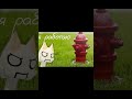 это пока и скобочка youtubeshorts cat shorts shortvideo