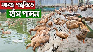 আবদ্ধভাবে হাঁস পালন করে মাসে ১ লক্ষ টাকা ইনকাম করছেন ছাত্র।  Duck Farming in Bangladesh