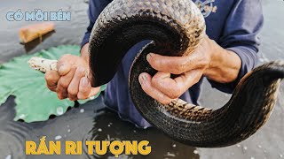 Cuộc sống săn bắt mùa nước nổi 2024 - Tập 28 | Gấc Quê