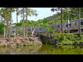 new e235 1000 series yokosuka line running through a japanese garden in kamakura train japan