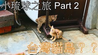 【兔子先生】台灣貓島誕生？小琉球之旅 Part 2