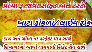 બેટર માં આથો લાવવાની રીત સાથે બનાવો ખાટા ઢોકળાં સરળ રીતે/khata dhokla/live dhokla/thali dhokla/