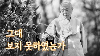 그대 보지 못하였는가