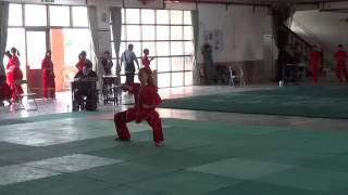 雲林國小國術少林連環拳20140410142308