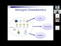 sgrg webinar series introduction to microgrids and smart grid