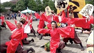 所沢風炎祇神伝〜雅〜　大江戸ソーラン祭り 2019