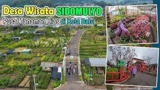 Desa Wisata Sidomulyo I Pusat Tanaman Hias di Kota Batu I Tahun 2022