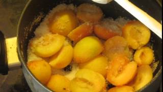 Cooked Apricot Purée as a Base for Sauces