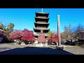 【4k hdr】nagoya japan《随走八事 兴正寺》随便走走