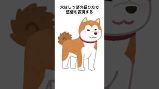 ほとんどの人が知らない動物の面白い雑学 #animalshorts#豆知識 #animalshorts #1分雑学