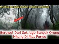 BERAWAL DARI SOK JAGO, BANYAK ORANG HILANG DI ALAS PURWO HUTAN TERANGKER