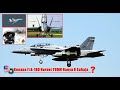 Kisah Sebenar Kenapa F/A-18 Hornet Malaysia 8 Buah Sahaja ?