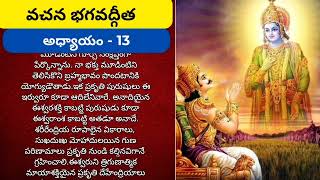 353 వచన భగవద్గీత  - అధ్యాయం 13 #bhagavadgita #slokas #meekrishnammakathalu