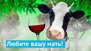 Как американцы берегут природу