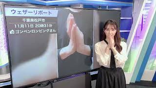 【白井ゆかり】独断と偏見で選んだNo.1動画🎉㊗️【1に関するリポート】