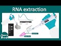 RNA extraction using trizol method