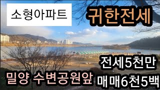 (매물번호427)운동,산책하기좋은 아파트#밀양 부동산#밀양부동산매매 #밀양부동산매물 #밀양 아파트#밀양 소형 아파트#밀양 삼문동 아파트