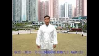 郭林氣功 特快功 Guolin Qigong ( Super Fast Walk Qigong)