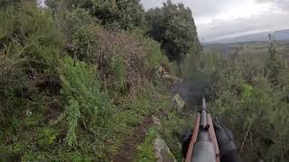 Caccia al cinghiale in Sardegna/ wild boar hunting/ compagnia \