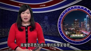 堪薩斯州正面臨美國自1950年代以來最大規模的肺結核爆發 1.28 （粵）