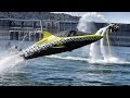 Robotic Dolphin and Flying Water Car - In 4K! With Jetovator and Seabreacher Robotic Dolphin and Flying Water Car - In 4K! With Jetovator and Seabreacher