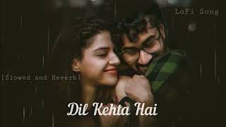 Dil Kehta Hai- [Slowed and Reverb] | @alkayagnik3875 and @kumarsanu1821 | Hindi Old Song | LoFi Song