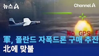 軍, 폴란드 자폭드론 구매 추진…北에 맞불 | 뉴스A