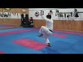 Arimoto Sensei JKS Ireland Honbu Dojo 2018