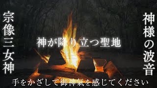 【辿り着いて５秒で超強力】寝ながら「波の音」を聞くだけで「宗像三女神」の御神気を受け取れる波動のパワースポット自然音【神が降り立った宗像大社・高宮祭場と焚き火で感じる神様の氣】