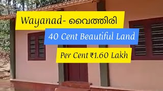 40 Cent Beautiful Resort Land With House For Sale | Vythiri | Wayanad (സെന്റിന് 1.60 ലക്ഷം )