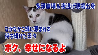 【幸せのお届け】夜逃げ現場出身の「しめじ」のお届け