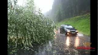 Unwetter im Bereich Netphen: Blitzeinschläge und Bäume auf der Straße