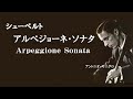 ★シューベルト 「アルペジョーネ・ソナタ」 イ短調 D.821  Vc:ヤニグロ  Schubert 「Arpeggione Sonata」 A-minor