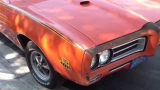 1969 GTO Judge Survivor