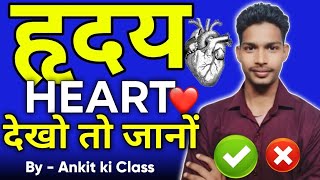 HEART | हृदय | Heart ki puri jankari  | Heart kaise Kam karta hai Jane | full explanation of heart