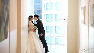 [더모션] 부산 그랜드블랑 카로스홀_풀영상_웨딩영상/본식dvd_4K(Cinematic wedding video)