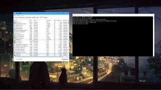Hiding process/programs from Windows Task Manager