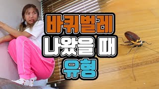 내 눈 앞에 바퀴벌레가!! 바퀴벌레 나왔을 때 유형 [밍꼬발랄]