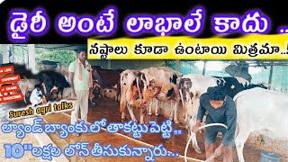 #dairy డైరీ పామ్ అంటే లాభాలే కాదు ,నష్టాలు కూడా ఉంటాయి! Start A New dairy farm..!!#dairyfarm#loss